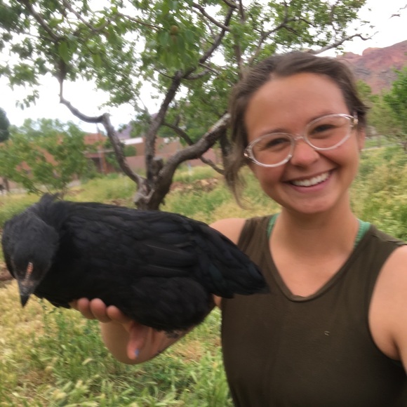 Meet your Posher, Sam - Picture 2 of 2